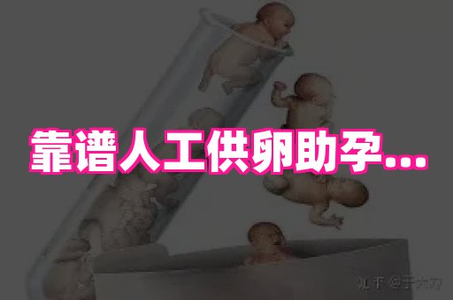 厦门助孕网站 2