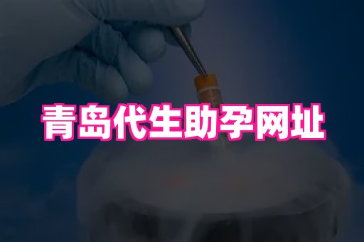 厦门助孕网站 4